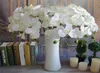 50 шт. Популярный белый фалаенопсис бабочка орхидея цветок 78cm3071 quot длина 10pcslot 7 цветов искусственные для WEDD1313581