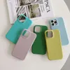 Adatto per iPhone 15 Pro Max Apple 14/13/12 Lychee Pattern Telefono Case, vera pelle in pelle x