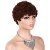 Pixie Cut Wigs for Black Women Short Afro Curly Human Hair Wigs for African American Brazilian Virgin Hair Afro Wigs Glueless Full Machine Made Wigs