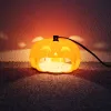 Traps LED Light Pumpkin Flea Hunting Trap Moth Killer Pet Dog Home Controller