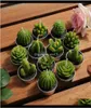 Décor Drop Drop Livrot 2021 12pcs cactus mignon mini set artificiel succulent plantes bougies home décoration bougie the the light xm3404200