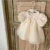 Girl's jurken Koreaanse stijl zomer Baby meisje prinses jurk ronde kraag puff mouw bloemen mesh patchwork kind fotografie kleding H240507