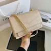 Omuz çantaları abay zincir mini çanta kadın çanta 2024 moda vahşi omuz/crossbody net kırmızı doku kare tasarım askı