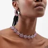 Choker Stonefans Pink Crystal Blumen Halskette Statement Accessoires Mode Frauen Strasskragen Kragen Blumen Schmuck Schmuck