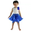 Abito tutu NABINA BAMBINI CHIFFON PETTISKIRTS TUTU Principessa Gigine da festa Dance Dance indossa 12m-10T 30 colori Meisjes Rok D240507