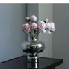 Vazen creatief zilveren glazen vaasdesk decoratie ambachten hydroponics bloemen potten bloem arrangement modern woning decor bloemen