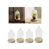 Bottles Clear Glass Dome Cloche Cover Stand Decorative Multipurpose Round Transparent Display Case Wooden Base For Figurines Toys