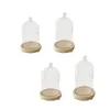 Bottles Clear Glass Dome Cloche Cover Stand Decorative Multipurpose Round Transparent Display Case Wooden Base For Figurines Toys