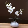 Vases Modern Ceramic Vase Fake Phalaenopsis Flower Arrangement Office Store Furnishing Crafts Home Livingroom Table Decor