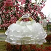 Tutu -jurk Baby Girl Tutu Mini Rok Kinderen Princess Bow Dresses Girls Ballet Dance Cake Skirts Mooie baljurk Tutu Kinderen Casual kleding D240507