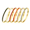 4 6mm de pulseiras de aço thintitanium pulseiras gotas cola jóias de pulseira colorida jóias de fivela de fivela 238r