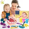HUIQIBAO Doctor Dental Mold Toys Plastic Teeth Simulation Role Playing House Simulation Clay Tools Childrens Education Toys 240506