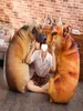 Travesseiro 1pc Men e feminino Big Dog Toy Plush Doll Throe Hunting 3D Adequado para presentes de festas de aniversário para festas