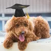 Hondenkleding Pet afstuderen Hoed met Tassel Cats Dogs Cosplay Kraagaccessoires PETS Bachelor Travel -hoofddeksel