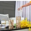 Vasos Planta hidropônica Planta simples vaso de vidro dourado Vaso geométrico Bottle Teste Tubo Metal Suporte de metal Acessórios para decoração doméstica