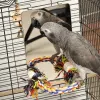 Perches Bird Rope Parrot Perch Stainless Steel Mirror with Woven Cotton Standing Rests Cage Accessories