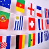 Flaggzon flagga 100/200 länder National Flag14x21cm 20x30cm strängflaggländer runt om i världen nationer flagga för festdekor
