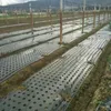 5holes 0,95 * 50m 0,02 mm Jardin noir Greenhouse Vegetables Membrane Agricultural Plants Mulch Seemding Plastic Perfoated PE Film 240506