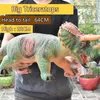 Inne zabawki 78 cm Dinosaur Model Zabawa Duże tyranozaurus Rex Cork Doll Velociraptor Park Park Shark Dinosaur World Childrens Toyl240502