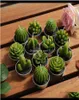 DELIZIONE DEL GARDEN DECORE 2021 12 pezzi di cactus carini mini set di piante succulente artificiali Candele per la decorazione della casa Candela tè Luce XM6793495