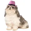 Maisons mignons mini animaux de compagnie étoiles cowboy chapeau d'anniversaire fête pour chiens vêtements pour chats pour couches cosplay costume drôle chiot chiot cœuf accessoires de compagnie