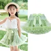 tutu Dress Baby Girls Tutu Fluffy Skirt Toddler Princess Ballet Dance Tulle Mesh Skirt Kids Cake Skirt Cute Girls Clothes Pettiskirt Skirt d240507