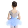 Meisjesjurken kinderen ballet tutu jurk gymnastiek tueuten mouwloze mouwloze mesh tuLle splice swan lake kostuums dancewear tap