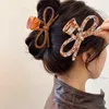Altre nuove donne Acetate Hair Cls Hairpin Girls Elegant Cotail Celips Caspate Cesta Cesta Accessori per capelli di moda estiva