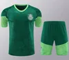 22 /23 Palmeiras Men Soccer Jerseys tracksuit BRENO LOPES R.VEIGA DEYVERSON ATUESTA ZE RAFAEL