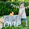 Miniatures One Sign Photo Prop for First Birthday Photo Shoot for Babies Wooden Number Sign Photographer Number Sign