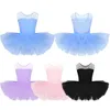 Meisjesjurken kinderen ballet tutu jurk gymnastiek tueuten mouwloze mouwloze mesh tuLle splice swan lake kostuums dancewear tap