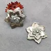 Pendant Necklaces Gray MOP Sea Shell Flower Hand Carved Black Jewelry For Necklace Making Charm