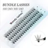 Cluster wimper 60 bundels 10D20D30D40D 007D Natuurlijke stijl individuele wimper handgemaakte Wendy Lashes 240423