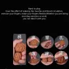Miniaturas de tamanho grande 2pcs naturais wenwan walnut handball cuidados de saúde bola massagem de palmagem chinesa nozes idosos gadgets de massagem