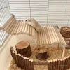 Zabawki chomika drewniane mostki gryzoni z molowym drewnianym huśtawką dla chomików myszy