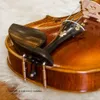 Violon standard V06D Golden Brown Varnis acoustique Spruce Spruce Maple