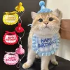주택 애완 동물 생일 파티 턱받이 귀여운 고양이 개 스카프 생일 드레스 업 새끼 고양이 목걸이 칼라 강아지 치와와 타액 액세서리 선물