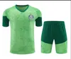 Palmeira Fußballtrikot