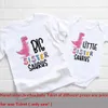 Familie Matching Outfits Big Sister Little Brother Dinosaur Print Family Matching Clothing Dessen Girls T-Shirt Toddler Bodysuit Kidstee Korte mouw Outfit D240507