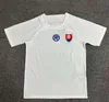 Nueva Jersey de fútbol de Eslovaquia 24 25 Camisa de fútbol blanco Blanco Blanco Azul en casa 2024 2025 Sweinshirt Ropa