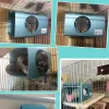 Burar Aluminiumlegering Small Animal Cooling Nest Guinea Pig House Summer Chinchilla Cooling Nest Totoro Guinea Pig Ice House