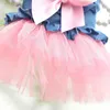 Sommerhundekleidung Haustier Denim Kleider für kleine Hunde Pommerianische Chihuahua Welpen Kätzchen Rock Prinzessin Kleid rosa Mädchen Kleidung 240425