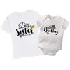 Family Matching Tenues Family Matching Tenits Frère Sœur Soeur Tshirt Baby Boys Ranger Petit garçon BodySuit Big Sister T-shirt Summer Kid Top Tees D240507