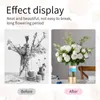 Vases Flower Tide Holder Captivating Visual Impact Spiral Ikebana Imperproofing Support Soupied Floral Arrangement