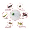 Pièges Pièces à la maison Critter Catcher Insecte capture Catring Trap InsecT Grabber Travel Friendly Humane Trap Centipede Test Control Tools