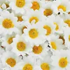 Fleurs décoratives 100pieces compactes et léger premium Gerbera Daisy Fleur pour décor de fête de mariage bricolage mini-taille Blanc 100pcs