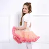 tutu Dress Baby Girls Tutu Fluffy Skirt Toddler Princess Ballet Dance Tulle Mesh Skirt Kids Cake Skirt Cute Girls Clothes Pettiskirt Skirt d240507