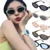 Lunettes de soleil Fashion Cat Eye Femmes Verres ovales Brand Vintage Elliptic Square Sun for Female Shades Eyewear