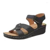 Sandals Rimocy Summer 2024 CEDRE POUR FEMMES FOIRE MODE SANDALALIAS LECTUR