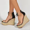 Sandals Rope Wedge Heel PVC Transparent Ankle Lace Up Pumps For Woman Fashion Narrow Bands Platform Super High 13.5cm